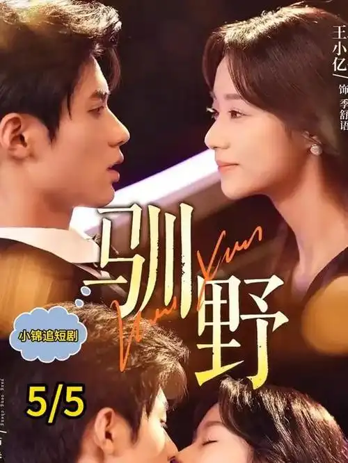 剧集 山雀与钟 资料卡缩略图